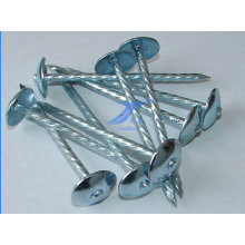 Screw Shank Stainless Steel Roofing Nails